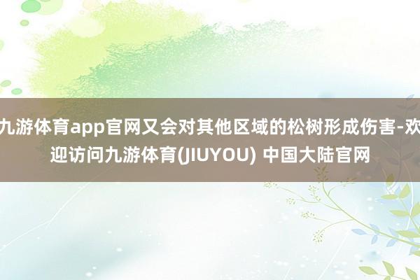九游体育app官网又会对其他区域的松树形成伤害-欢迎访问九游体育(JIUYOU) 中国大陆官网