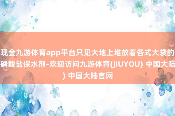 现金九游体育app平台只见大地上堆放着各式大袋的复合磷酸盐保水剂-欢迎访问九游体育(JIUYOU) 中国大陆官网