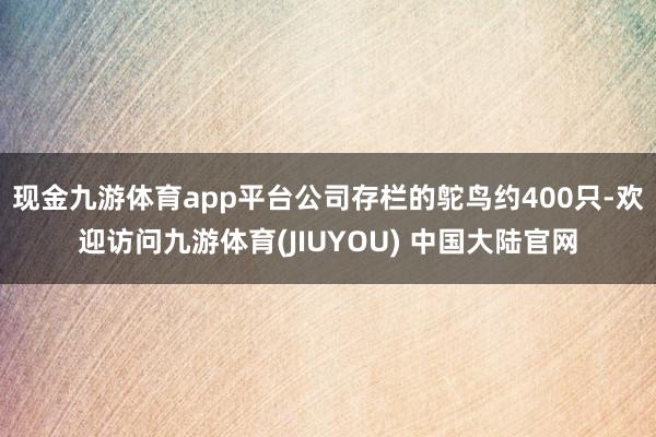 现金九游体育app平台公司存栏的鸵鸟约400只-欢迎访问九游体育(JIUYOU) 中国大陆官网