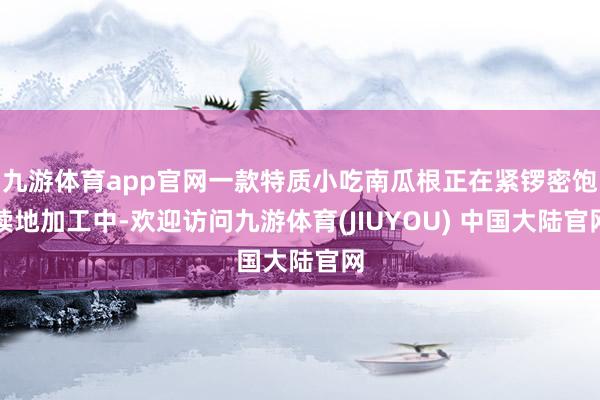 九游体育app官网一款特质小吃南瓜根正在紧锣密饱读地加工中-欢迎访问九游体育(JIUYOU) 中国大陆官网