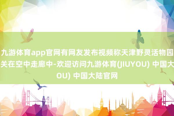 九游体育app官网有网友发布视频称天津野灵活物园将狮子关在空中走廊中-欢迎访问九游体育(JIUYOU) 中国大陆官网